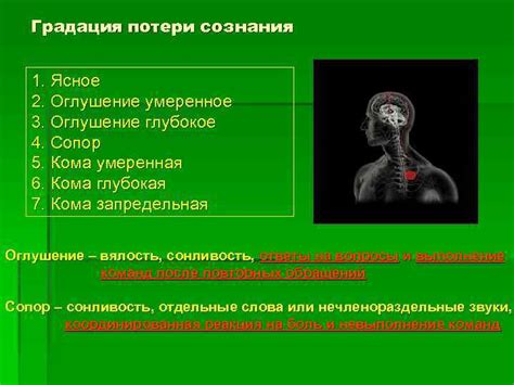 Черепно-мозговая иннервация: общие сведения