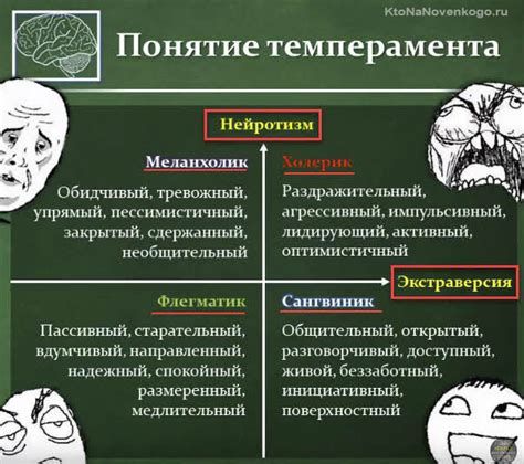 Черная желчь и темперамент меланхолика