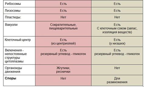 Черты различия постигнуты: важность и влияние