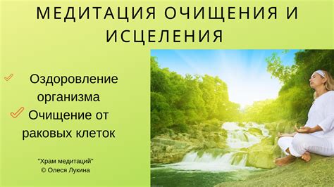 Чеснок в сновидении: возможность эмоционального очищения и исцеления