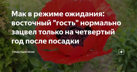 Четвертый год после проверки