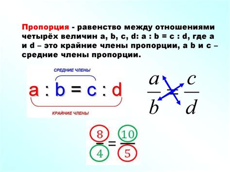 Четвертый пример пропорции: