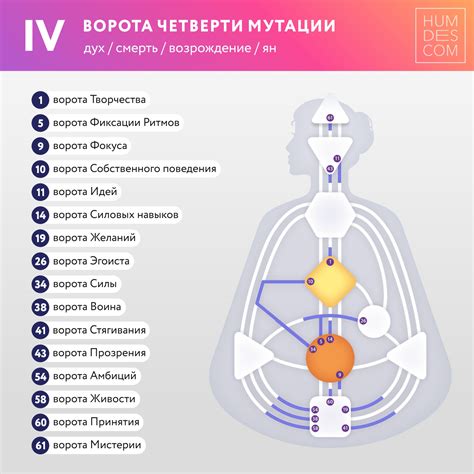 Четверть мутации реализуется через дух