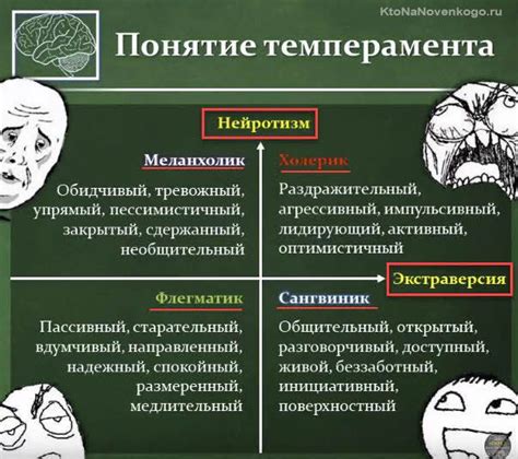 Четыре основных типа темперамента: холерик, меланхолик, сангвиник, флегматик