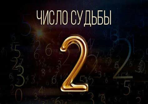 Число 2 в жизни