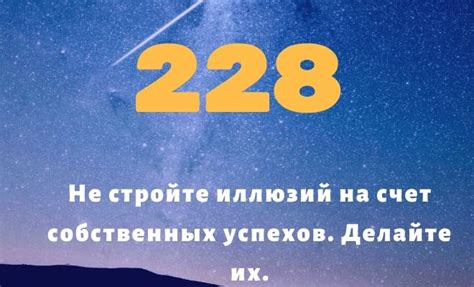 Число 228