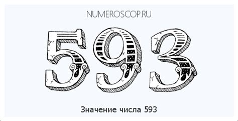 Число 593: интересные факты и расшифровка