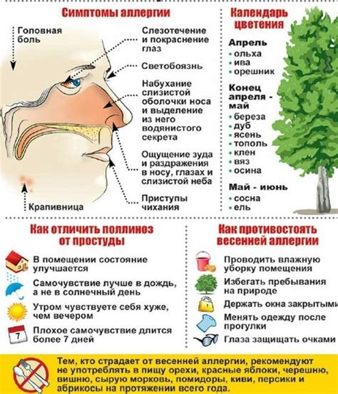 Чихание и признаки обострения аллергии