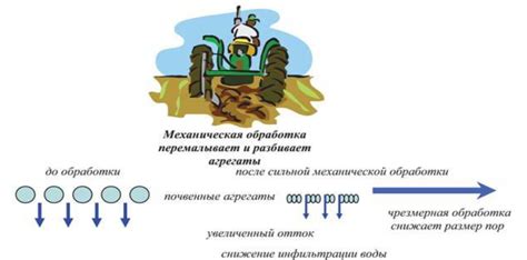 Чрезмерная влажность почвы