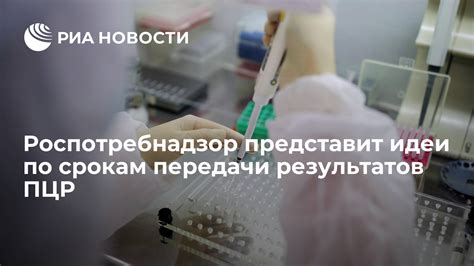 Что будет при невыполнении требований по срокам сдачи 2 ПЦР-тестов?