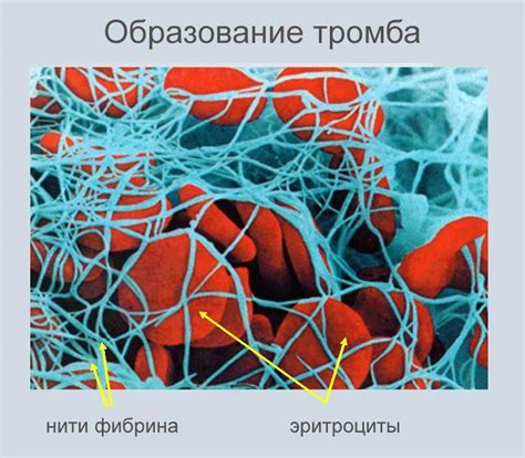 Что включает комплекс контрольных анализов