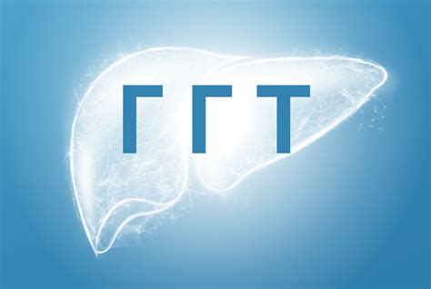 Что говорит повышение уровня гаммаглутамилтрансферазы (ГГТ)?