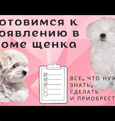 Что делает щенка последышем?