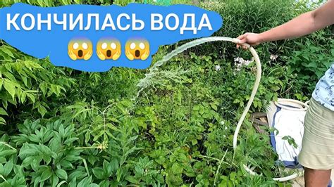 Что делать, если в скважине не появляется вода после зимы?