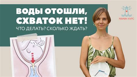 Что делать, если начали отходить воды, а схваток нет?