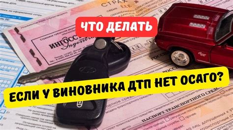 Что делать, если у виновника ДТП отсутствует полис ОСАГО?