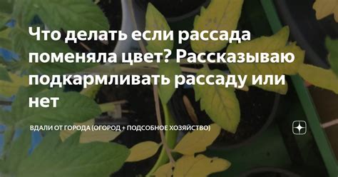 Что делать, если хозяйство в квартире оказалось на грани хаоса?