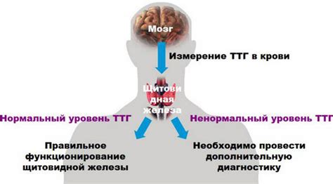 Что делать при нулевом уровне гормона ТТГ?