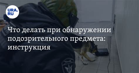 Что делать при обнаружении бага