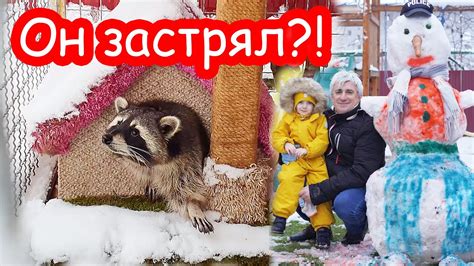 Что делать теперь?