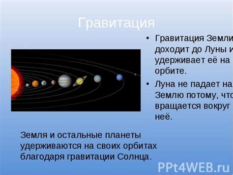 Что загадывается на орбите: состав и компоненты