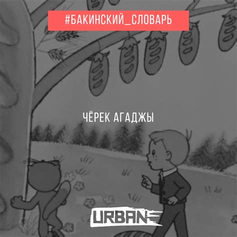 Что значит "ашкым" на азербайджанском?