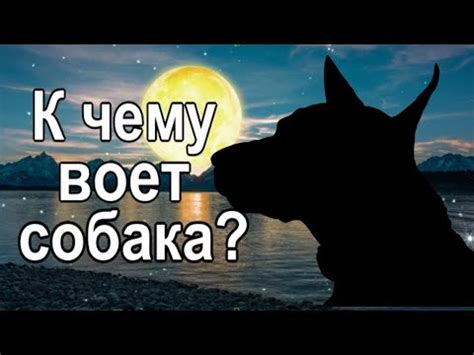 Что значит "отвести беду": почему возникают, что происходит и как помочь