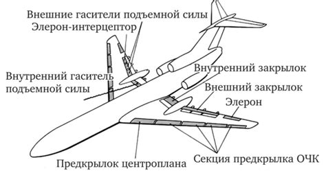 Что значит «открыл крыло»: смыслы и значения