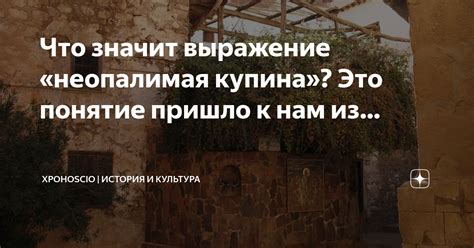 Что значит выражение "браво толк": история и смысл