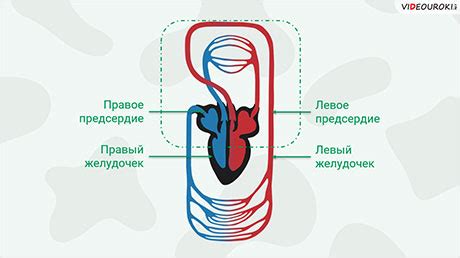 Что значит замкнутая женщина?