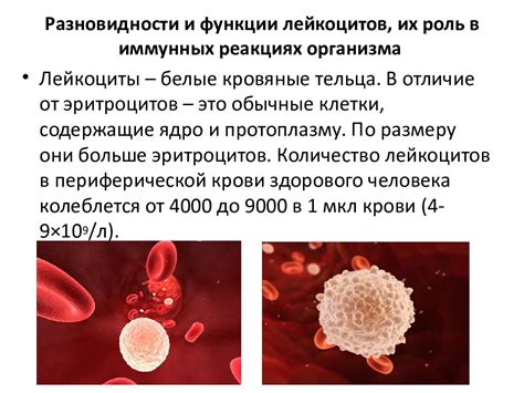 Что значит пониженные значения лейкоцитов у ребенка?