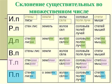 Что значит существительное во множественном числе