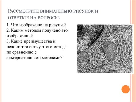 Что изображено на пиастрах