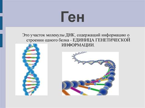 Что наследуется от мамы? Генетический код и его передача