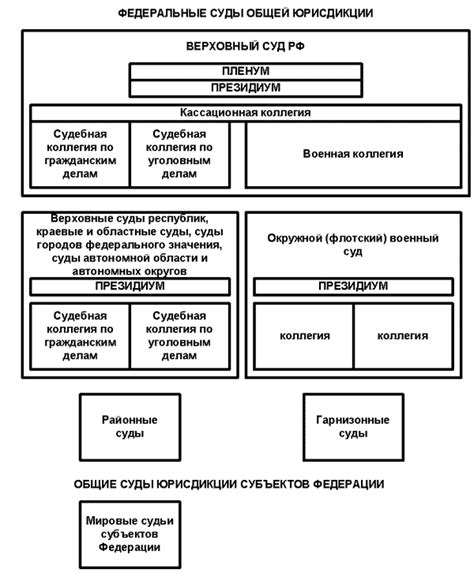 Что не входит в юрисдикцию судов общей юрисдикции