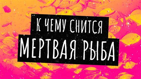 Что означает, когда у вас во сне мертвая матушка выражает глубокую печаль?