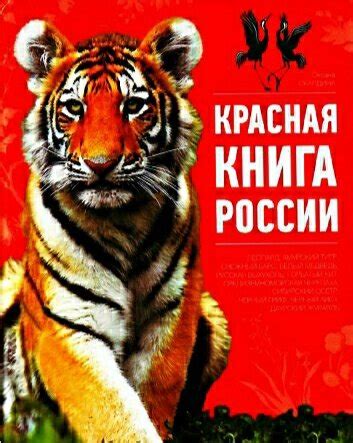 Что означает "забавно выглядит" и почему это привлекает внимание людей?