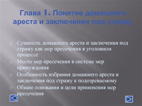 Что означает взять под стражу: понятие и процесс ареста