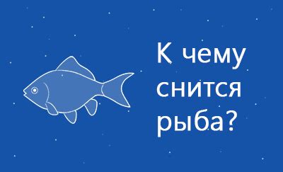 Что означает видеть рыбу: символика, сонник, значение