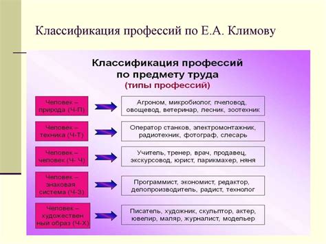 Что означает вид профессиональной деятельности?