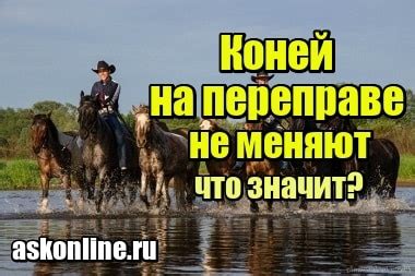 Что означает выражение "Осади коней"?