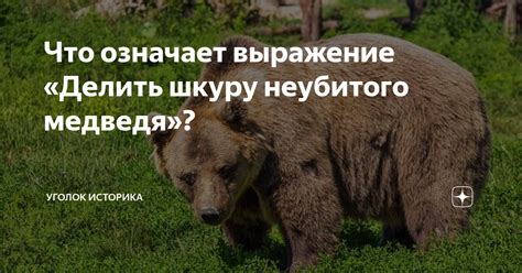 Что означает выражение "Привет медведь"?