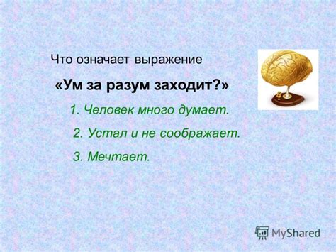 Что означает выражение "взяться за ум"?