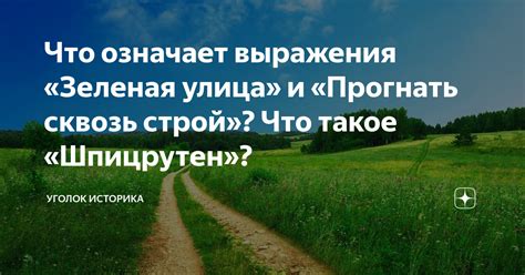 Что означает выражение "сквозь строй прогуляться"?