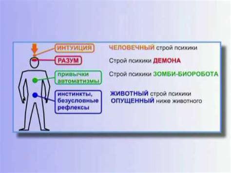 Что означает интуитивное чувство человека в Русском языке?