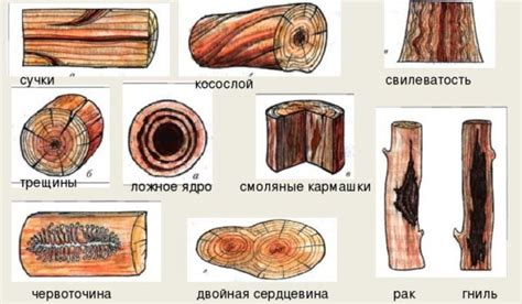 Что означает обличающая пороки?