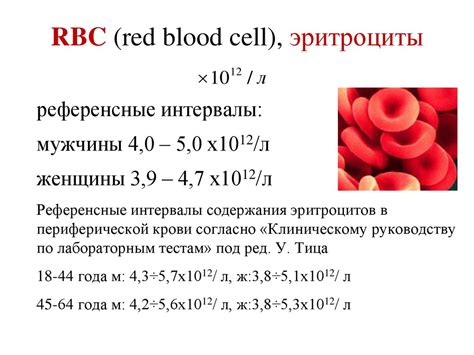 Что означает показатель RBC в анализе крови?