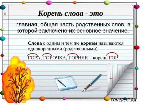 Что означает понятие "корень можно"?