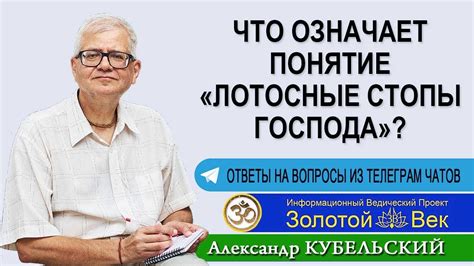 Что означает понятие "чти господа"?