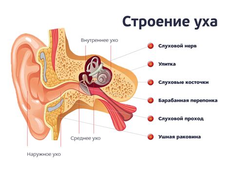 Что означает продуть ухо?